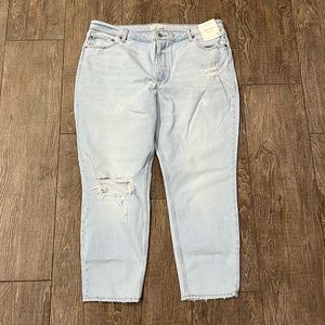 NWT Abercrombie & Fitch Mom Jeans - 20
